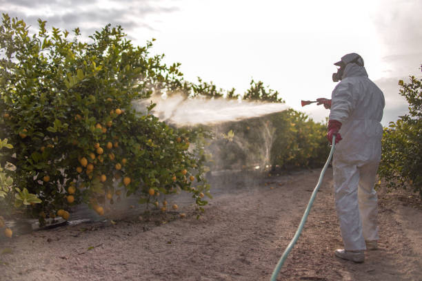 Best Termite Control Services  in State Line, PA