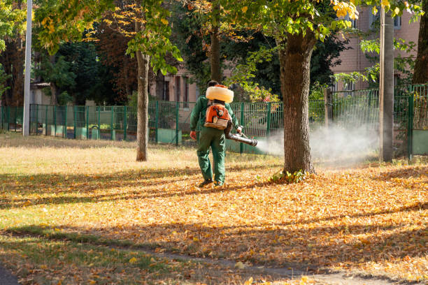 Best Spider Control Near Me  in State Line, PA
